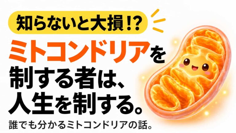 知らないと大損!? ミトコンドリアを制する者は、人生を制する。誰でも分かるミトコンドリアの話。
